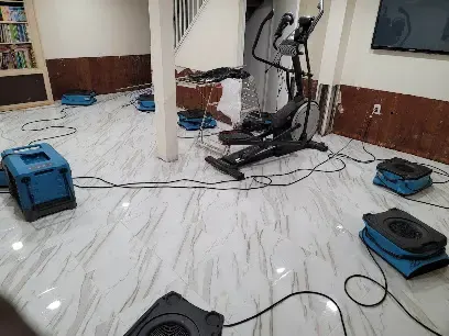 Air movers and a dehumidifier drying a basement room with the lower walls opened after water damage in Queens