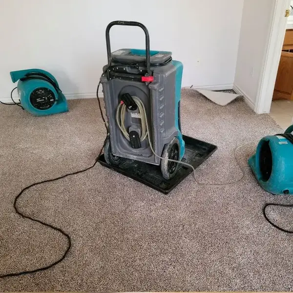 Dehumidifier and air movers drying carpet in a bedroom after a leak in Elmhurst, NY