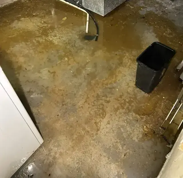 Sewage-stained concrete cellar floor after a floor drain backup in Elmhurst, Queens